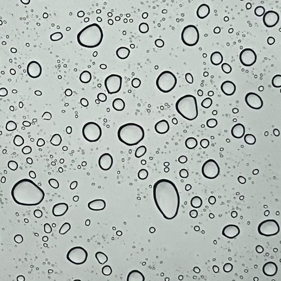 Meet your Posher, Alyna - Picture 1 of 1